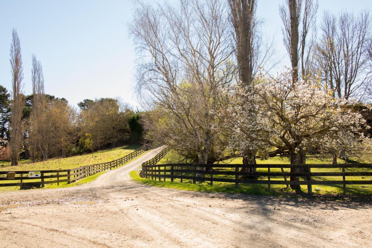 Shearvue Farmstay With Optional Free Farm Experience At 5Pm Fairlie Exterior photo