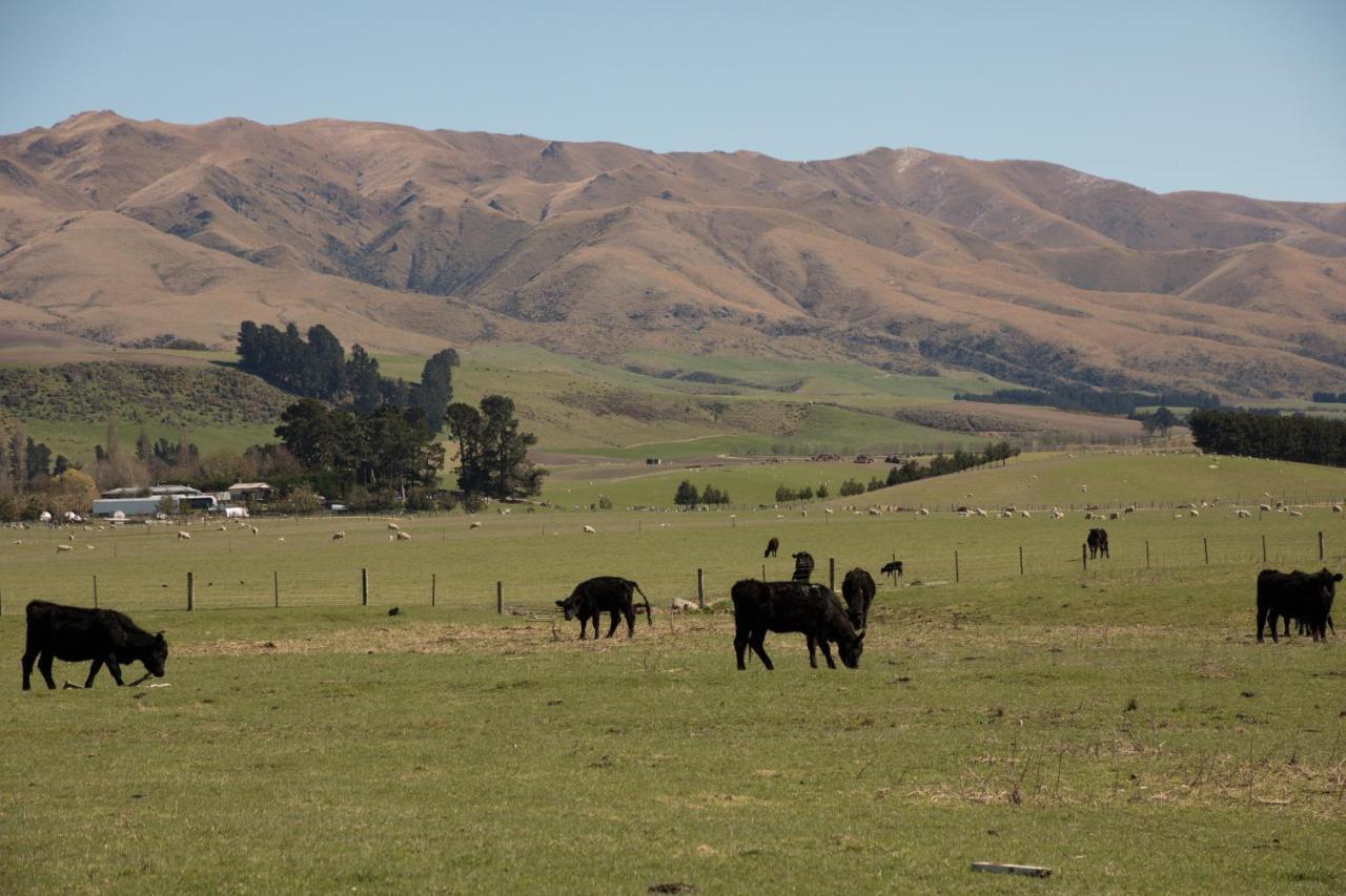 Shearvue Farmstay With Optional Free Farm Experience At 5Pm Fairlie Exterior photo